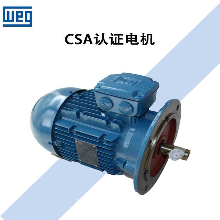 WEG W21系列铝壳铸铁三相异步电动机 高效低压IEC标准电动机解析